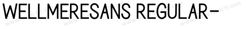 WellmereSans Regular字体转换